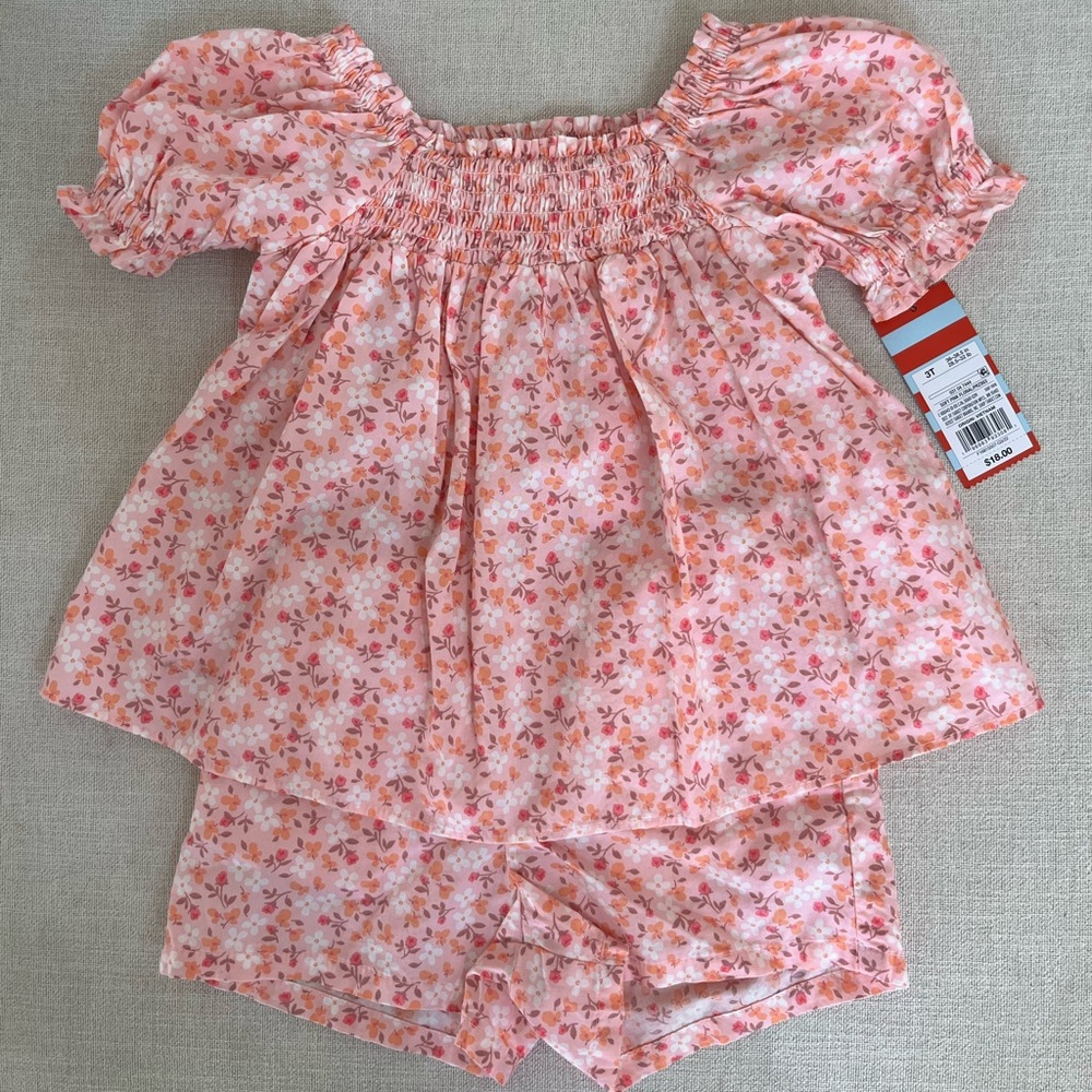 Pink Floral Printed Blouse and Shorts Set